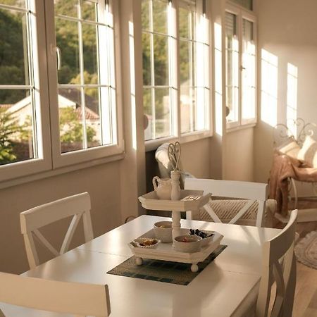 Ivana Rijeka Crnojevića Extérieur photo