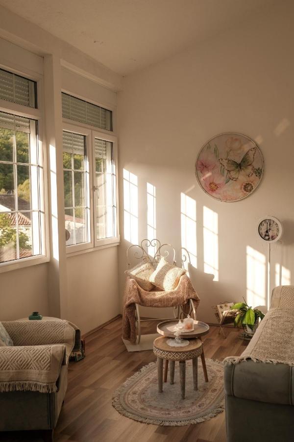 Ivana Rijeka Crnojevića Extérieur photo