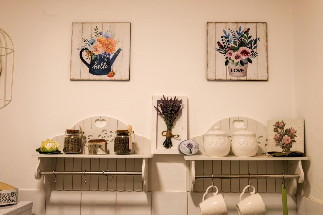 Ivana Rijeka Crnojevića Extérieur photo